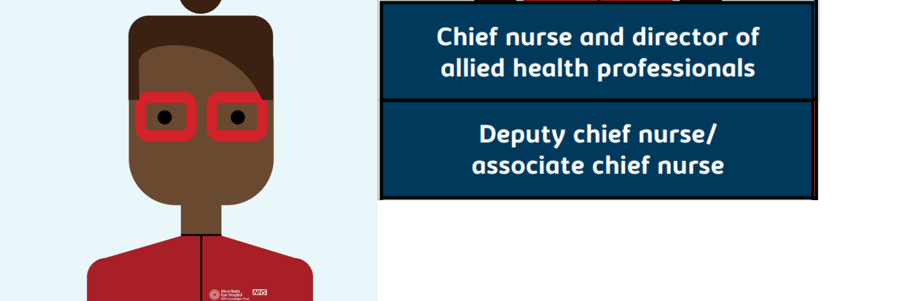 Infrographic of Nursing career development chief nurse