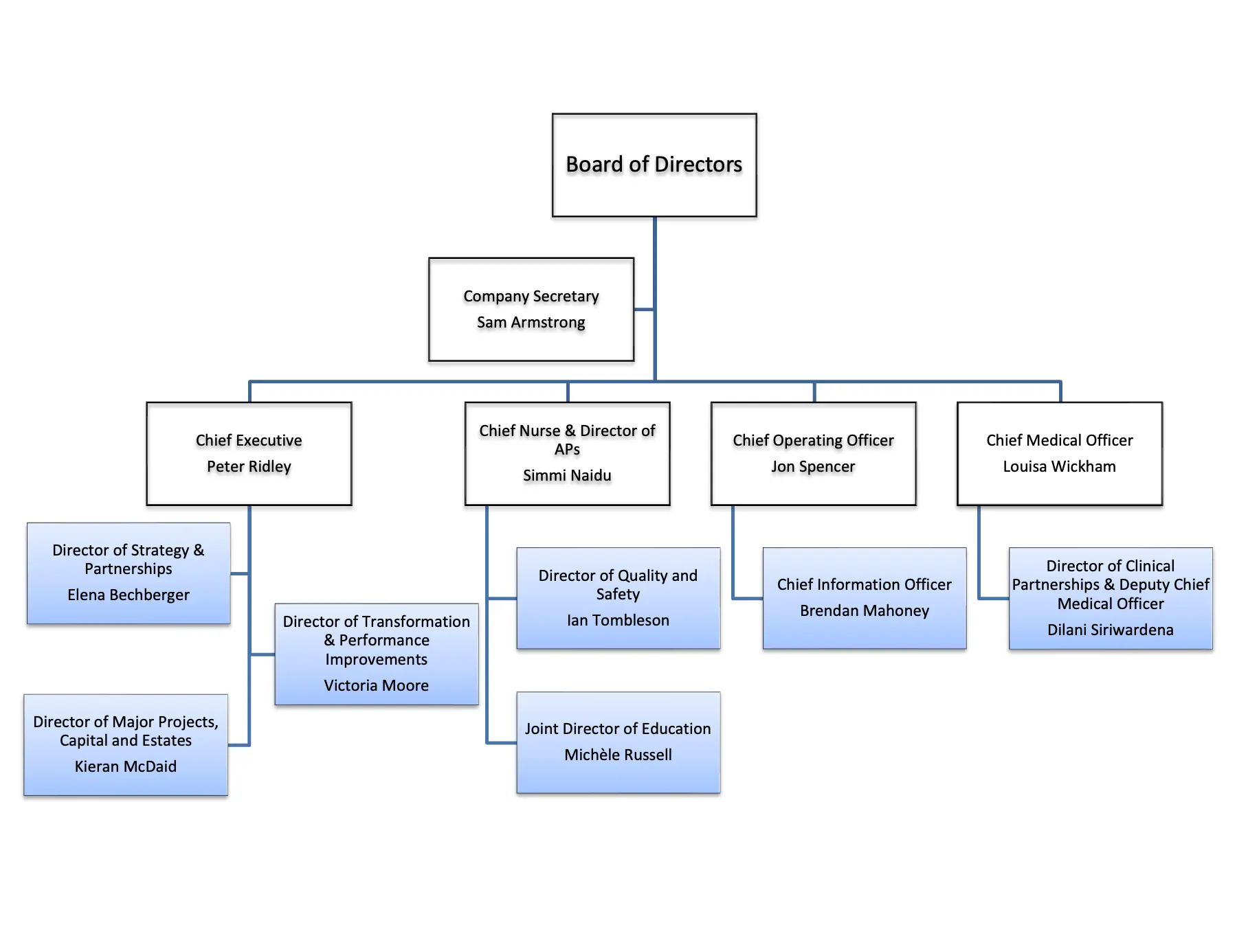 Diagram of Moorfields non voting board members