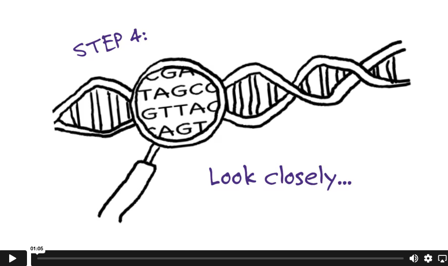 Screenshot of example of genetic testing