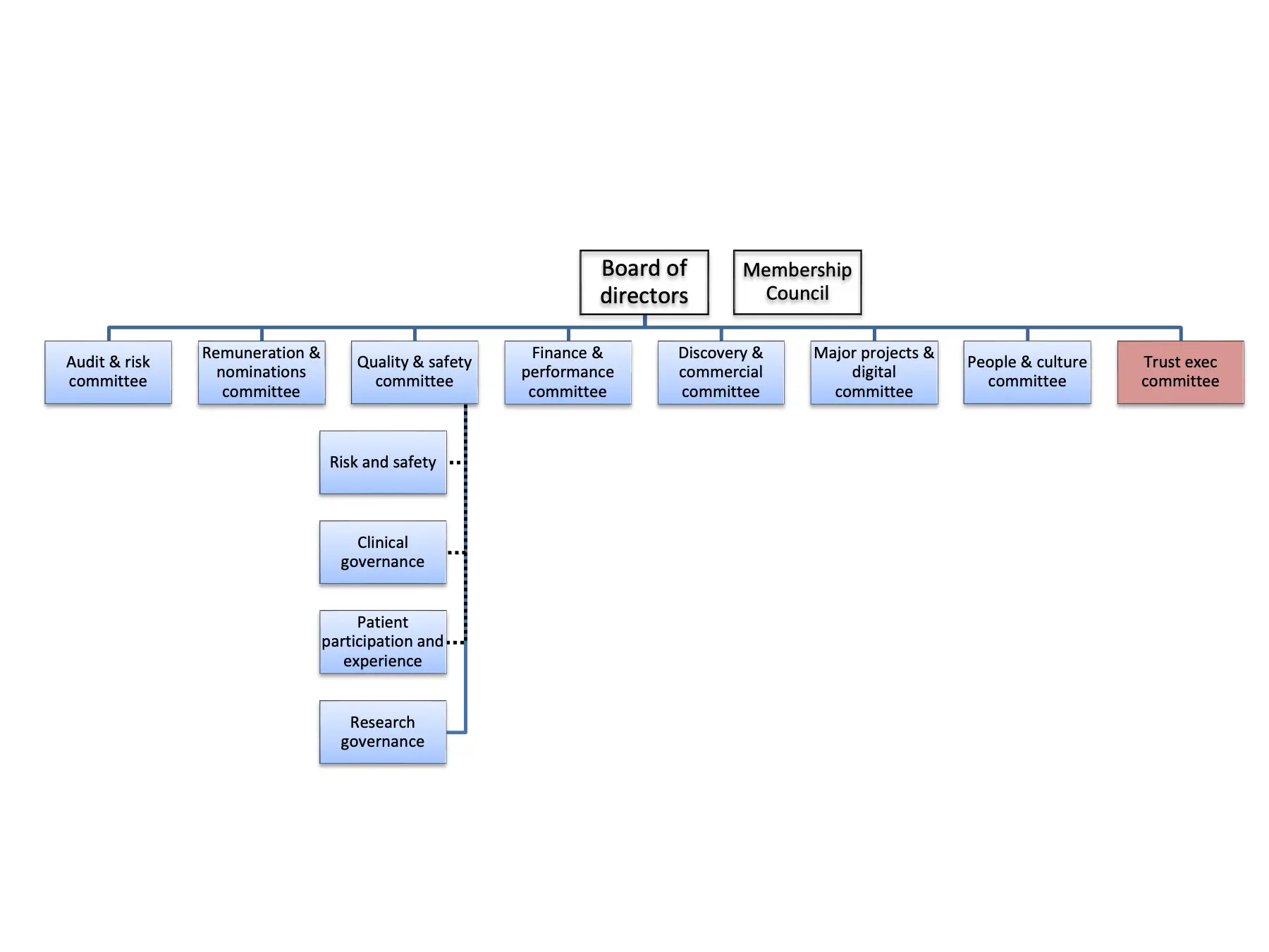 Diagram of Moorfields committee structure