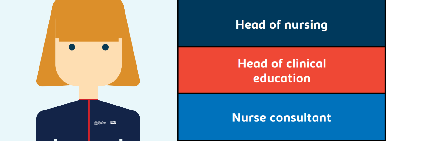 Infrographic of Nursing career development head of nursing