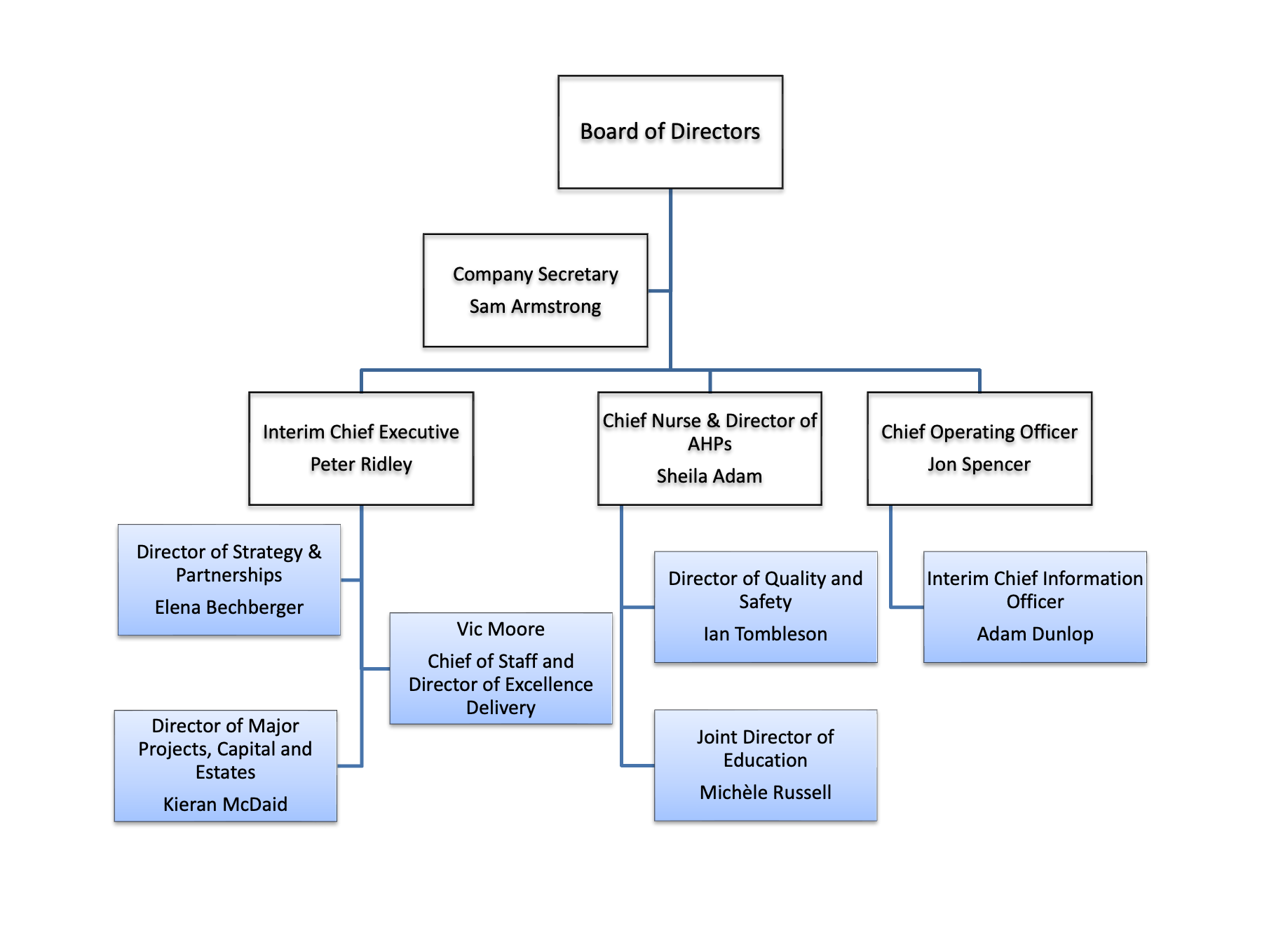 Diagram of Moorfields' non- voting board