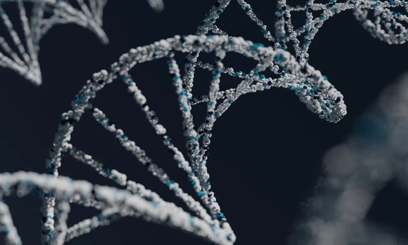 genome image in black and white