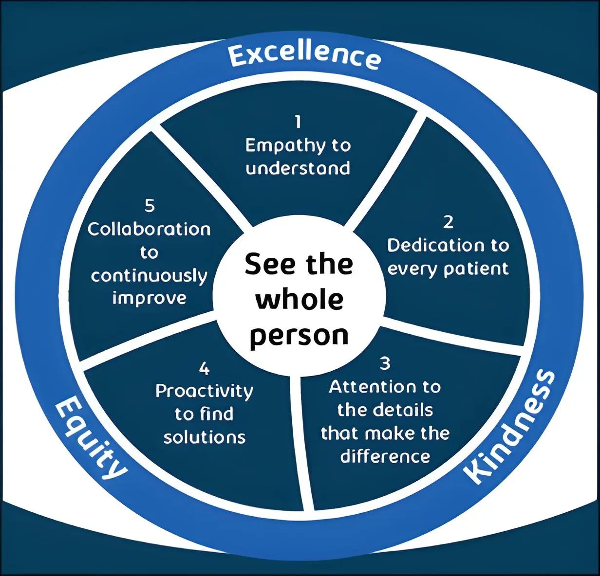 See the whole person infographic for excellence, kindness and equity