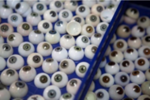 Artificial eye and cosmetic shell samples