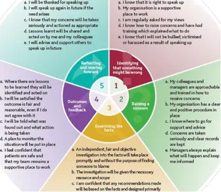 Detailed freedom to speak up infographic